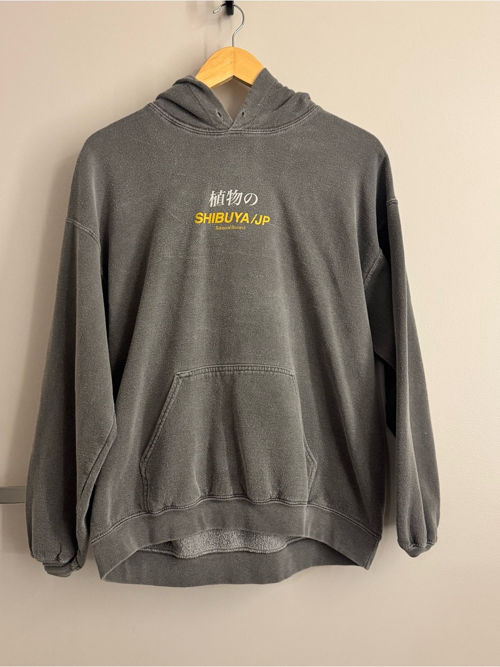 Shibuya Graphic Hoodie - Gray